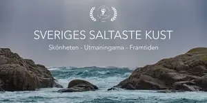 Sveriges saltaste kust